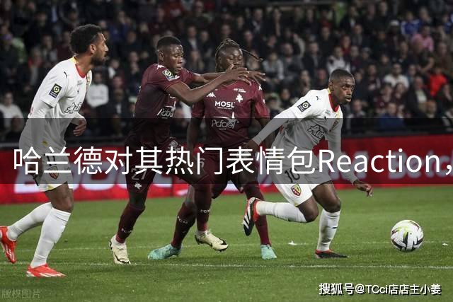 哈兰德对其热门表情包Reaction，荷兰弟想招募他到热刺？