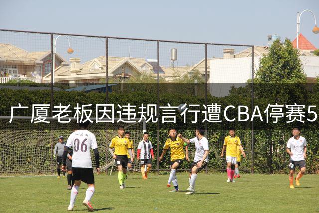 广厦老板因违规言行遭CBA停赛5场罚款10万元