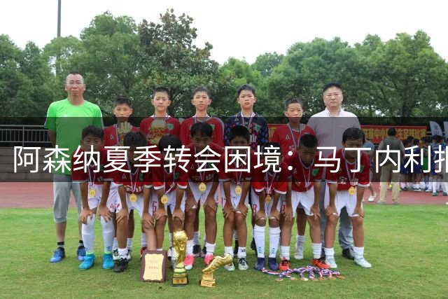 阿森纳夏季转会困境：马丁内利报价引发估值争议